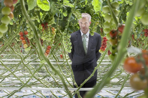 Johannes Remmel, Minister für Klimaschutz, Umwelt, Landwirtschaft, Natur- und Verbraucherschutz in NRW