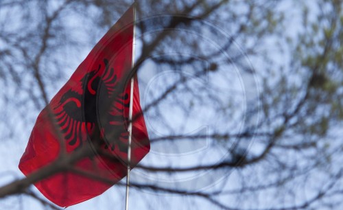 Albanische Flagge, Flaggen, Fahne, Fahnen| Albanian flag, flags