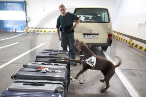 Schnueffelhund beim  Zoll in Frankfurt bei einem Fund