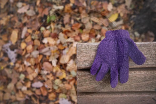 Handschuh auf einer Parkbank