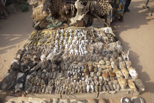 Fetischmarkt in Togo