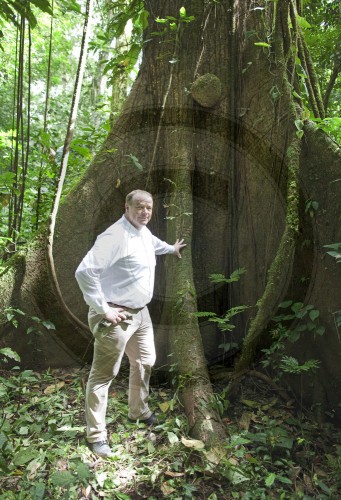 Niebel besucht Waldschutzprojekt