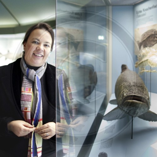 Ursula Heinen-Esser