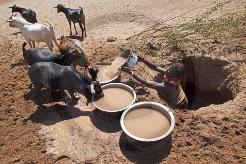 Wassermangel in Nordkenia