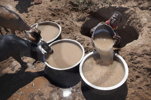 Wassermangel in Nordkenia