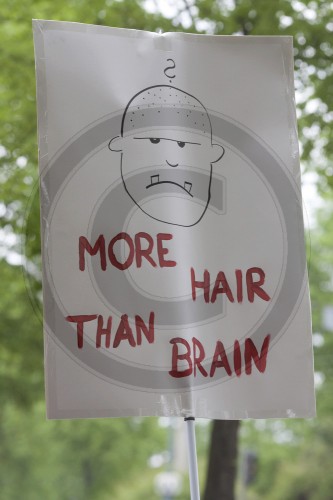 More Hair than Brain