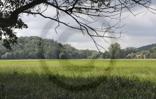 Naturschutzgebiet bei Milow