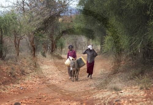 Frauen holen Wasser in Kenia