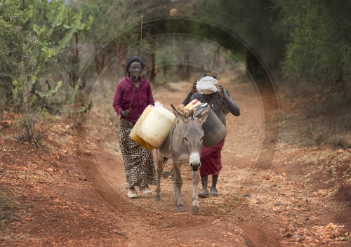 Frauen holen Wasser in Kenia