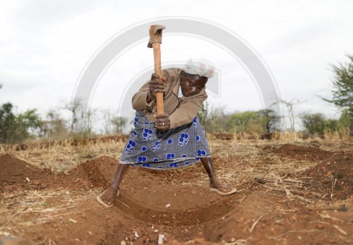 Feldarbeit in Kenia