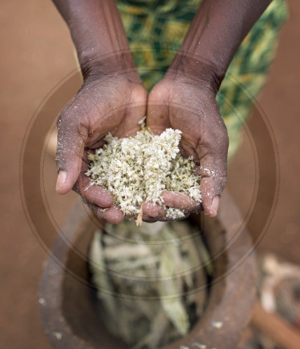 Bauernfarm in Kenia