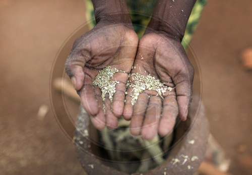 Bauernfarm in Kenia