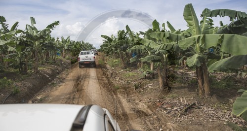 BM Niebel im Kamerun