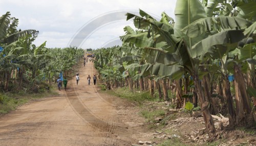 BM Niebel im Kamerun