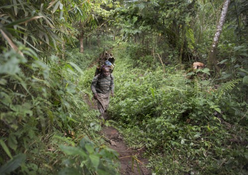 BM Niebel in Kamerun