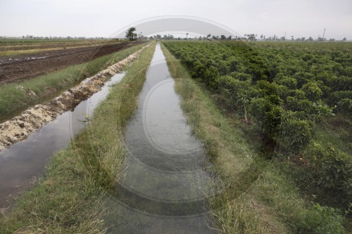 Wassersystem und Landwirtschaft