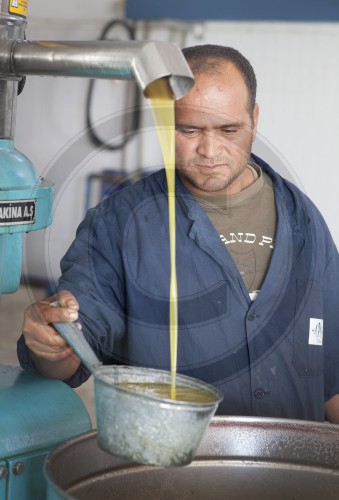 Olivenoelproduktion, Entnahme einer Oelprobe vor der Abfuellung