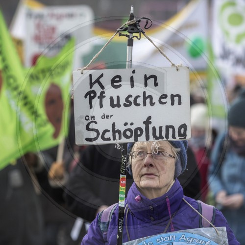 Demo gegen die Agrarindustrie in Berlin