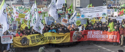 Demo gegen die Agrarindustrie in Berlin