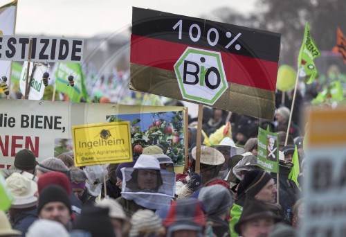 Demo gegen die Agrarindustrie in Berlin