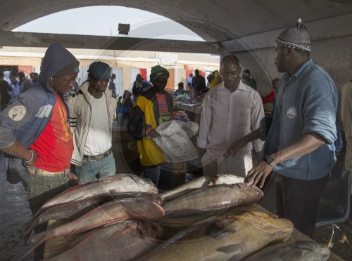Fischmarkt in Mauretanien