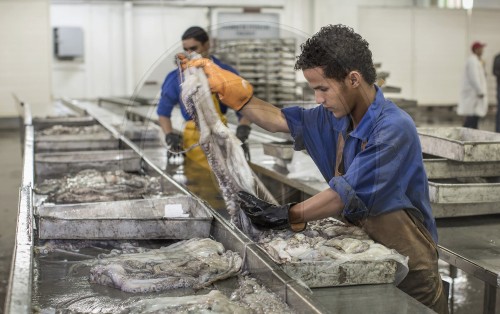 Fischfabrik in Mauretanien