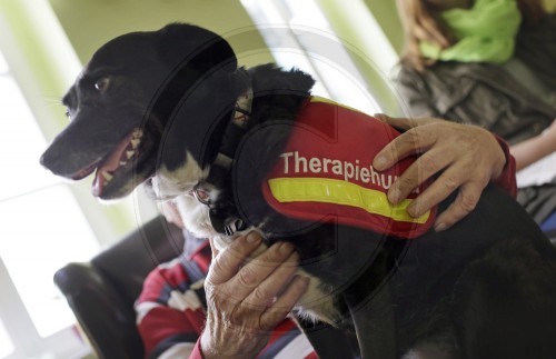 Alzheimerpatient mit einem Therapiehund