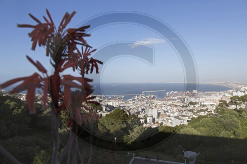 Algier