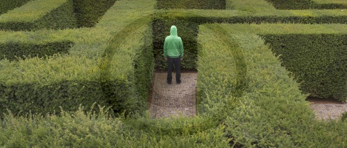 Junger Mann im Labyrinth