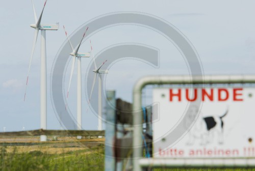 Siemens Windpark