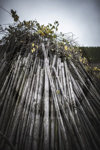 Haufen aus alten Holzstoecken, die im Weinberg gedent haben