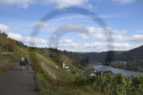 Mosel in der Hoehe von Hatzenport,