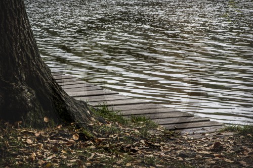 Holzsteg an einem See