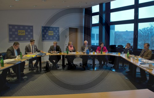 FDP Praesidium vor dem Bundesparteitag