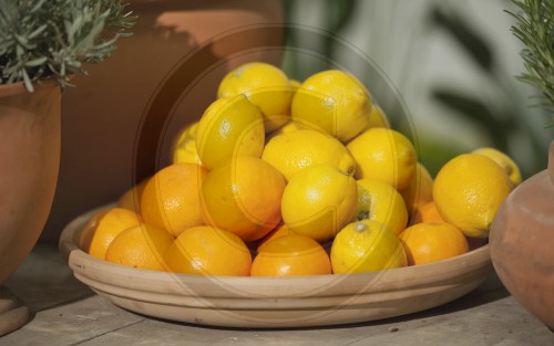 Zitronen und Orangen