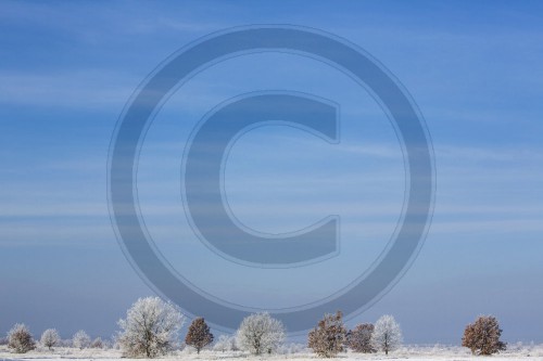 Winterlandschaft