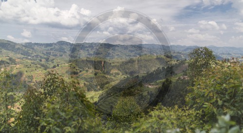 Landschaft in Ruana
