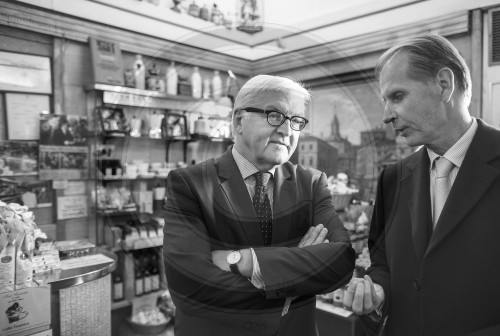 Frank-Walter Steinmeier, SPD, Aussenminister besucht Rom