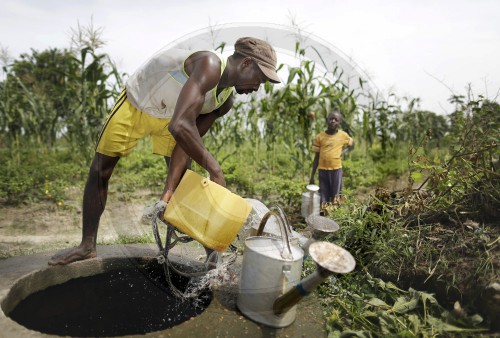 Feldarbeit in Zentralafrika