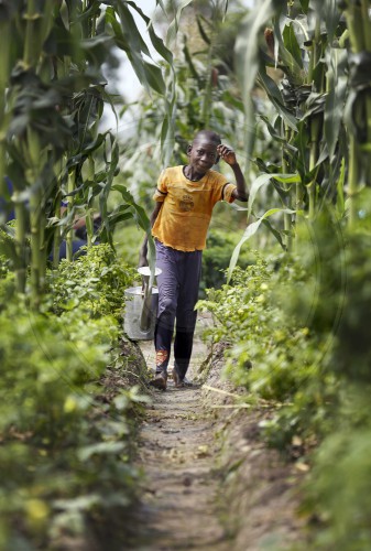 Feldarbeit in Zentralafrika