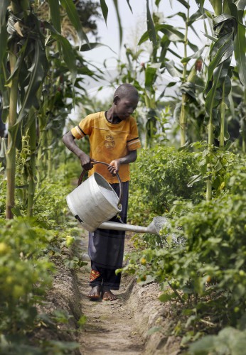 Feldarbeit in Zentralafrika