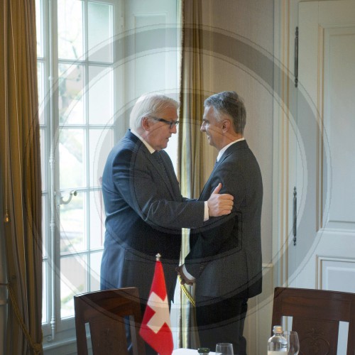 Steinmeier trifft OSZE-Vorsitzenden Burkhalter