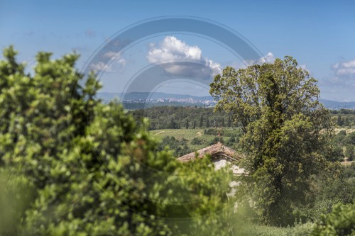 Blick von Castelnuovo Berardeng auf die Stadt Siena