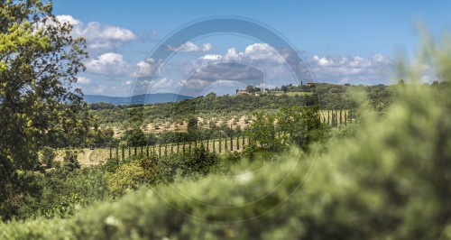 Landschaft bei Castelnuovo Berardeng