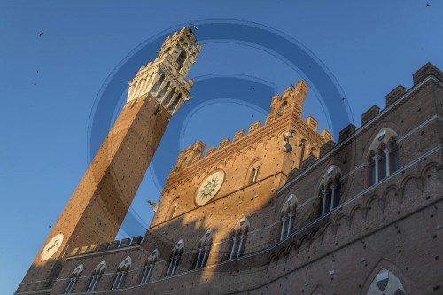 Rathaus von Siena