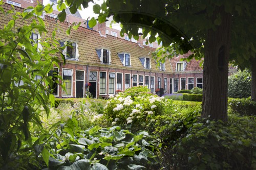 Residential Houses In Groningen
