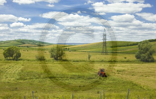 Landwirtschaft in Moldau