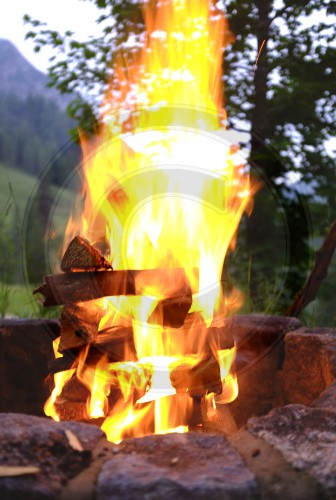 Holz verbrennt beim Grillen