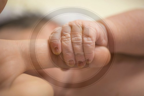 Detailaufnahme einer Babyhand mit erwachsenen Finger