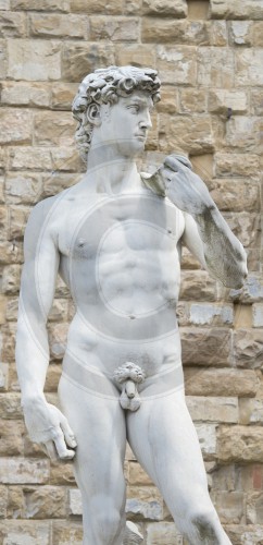 Statue David von Michelangelo